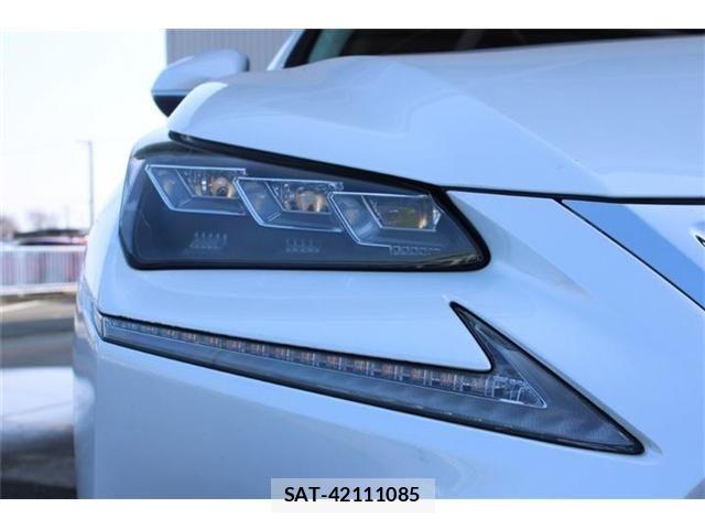 Lexus NX 2015-03 6907783-16