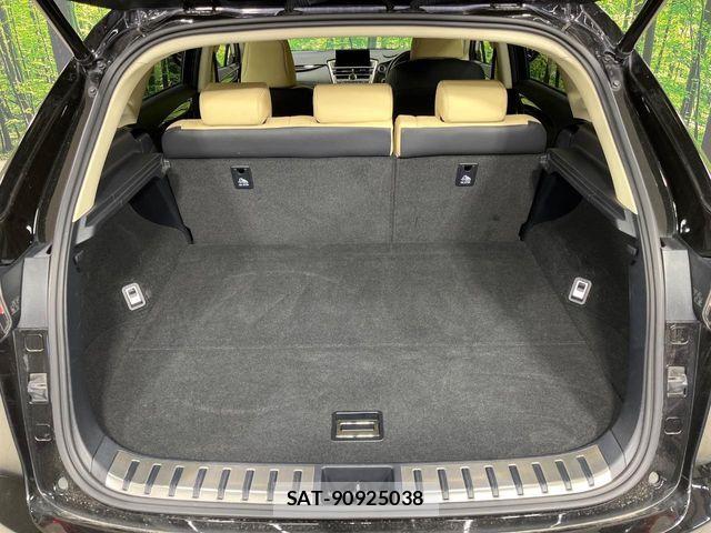 Lexus NX 2015-07 6995117-9