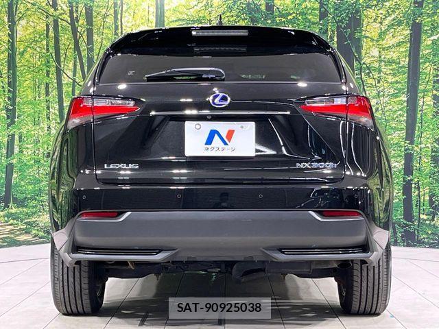 Lexus NX 2015-07 6995117-14