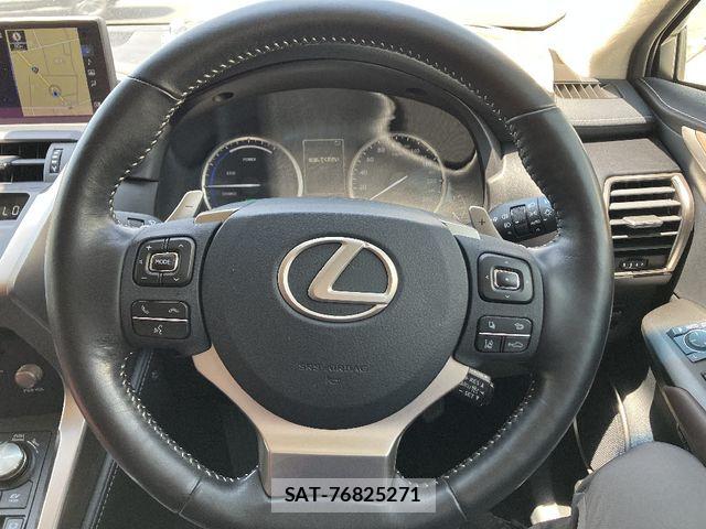 Lexus NX 2019-03 7020781-14