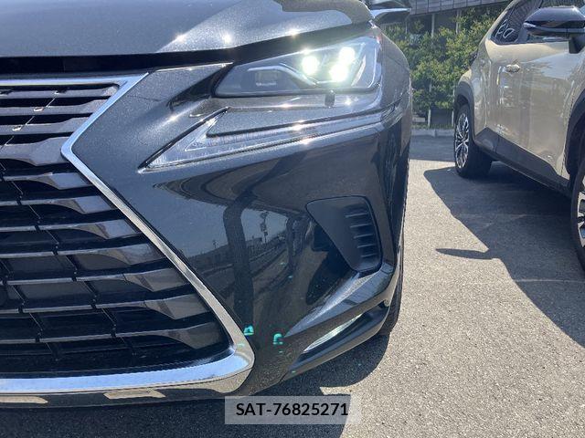 Lexus NX 2019-03 7020781-19