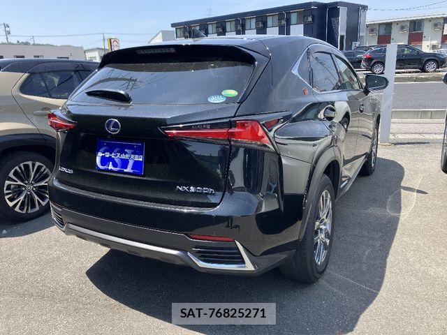 Lexus NX 2019-03 7020781-2