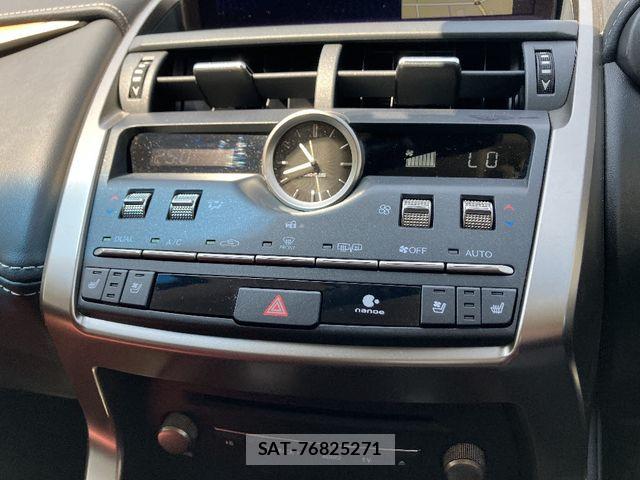 Lexus NX 2019-03 7020781-7