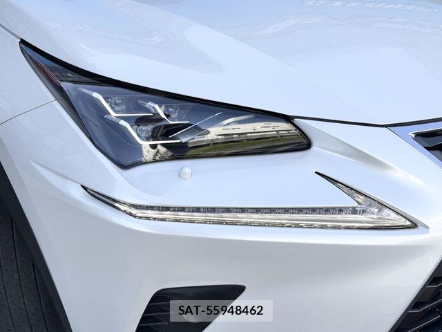 Lexus NX 2019-02 7059288-25