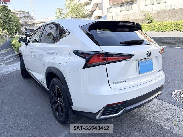 Lexus NX 2019-02 7059288-2