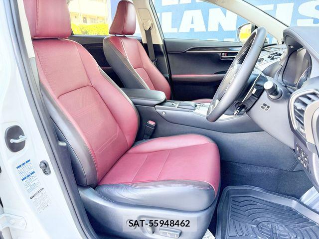 Lexus NX 2019-02 7059288-7