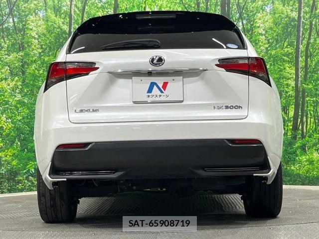 Lexus NX 2015-05 7221041-14
