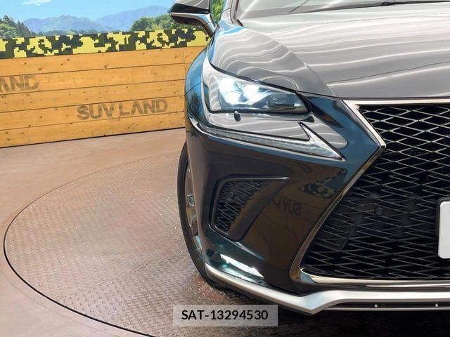 Lexus NX 2017-10 7221044-11