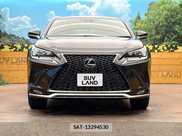 Lexus NX 2017-10 7221044-13