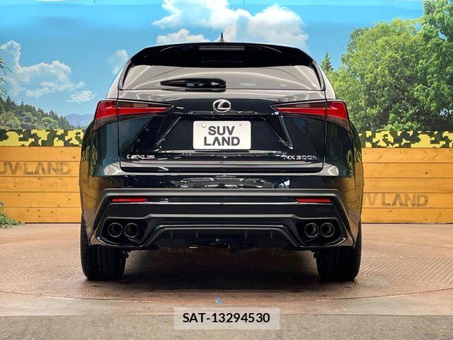 Lexus NX 2017-10 7221044-14