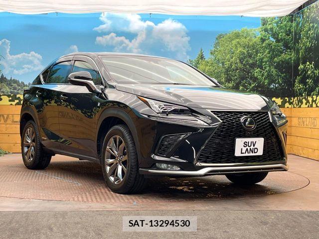 Lexus NX 2017-10 7221044-15