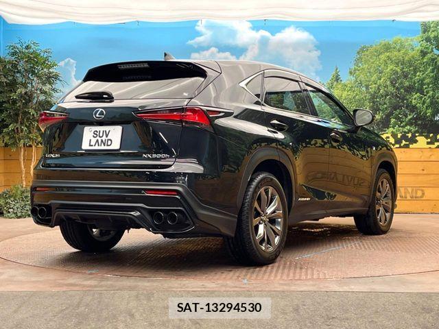 Lexus NX 2017-10 7221044-16