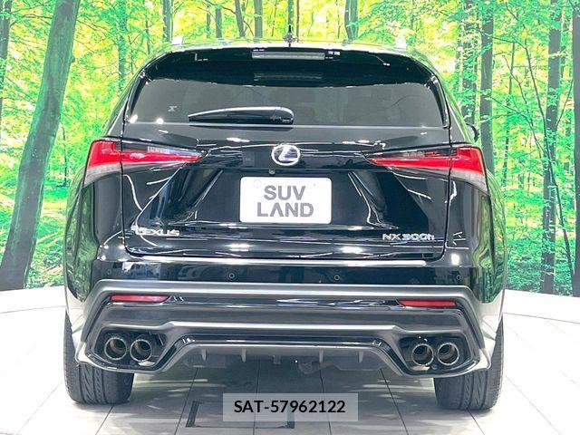 Lexus NX 2018-05 7221043-15