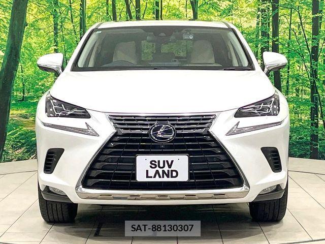 Lexus NX 2020-10 7221042-14