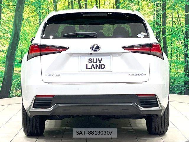 Lexus NX 2020-10 7221042-15