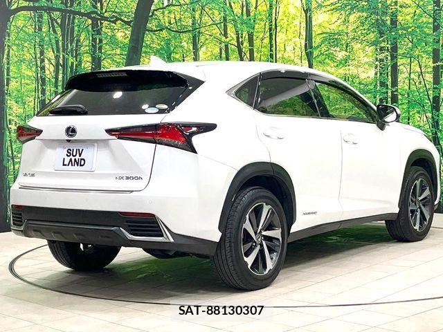 Lexus NX 2020-10 7221042-17