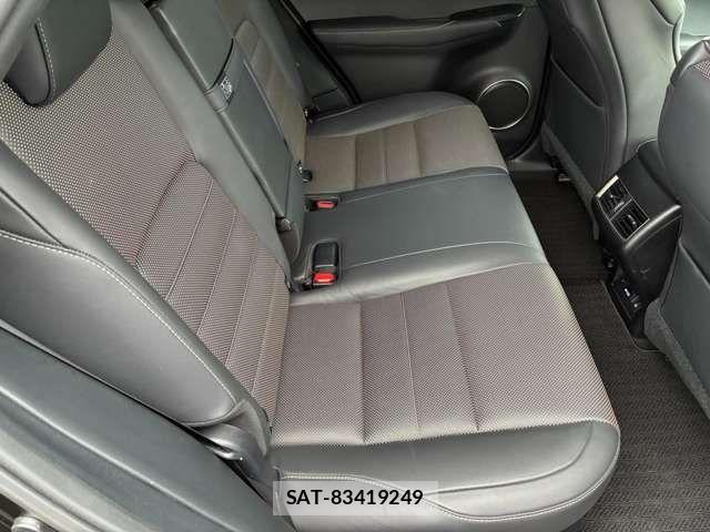 Lexus NX 2014-09 7251336-12