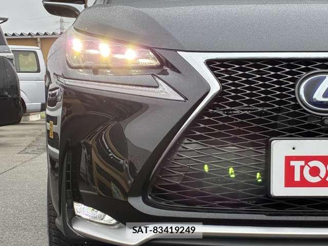 Lexus NX 2014-09 7251336-15