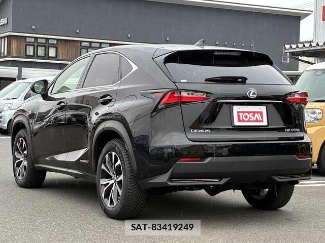 Lexus NX 2014-09 7251336-25