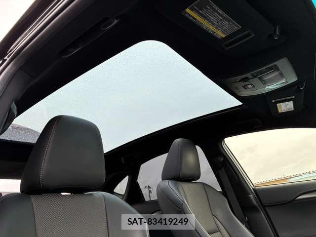 Lexus NX 2014-09 7251336-8