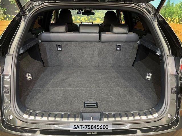 Lexus NX 2018-09 7250171-11