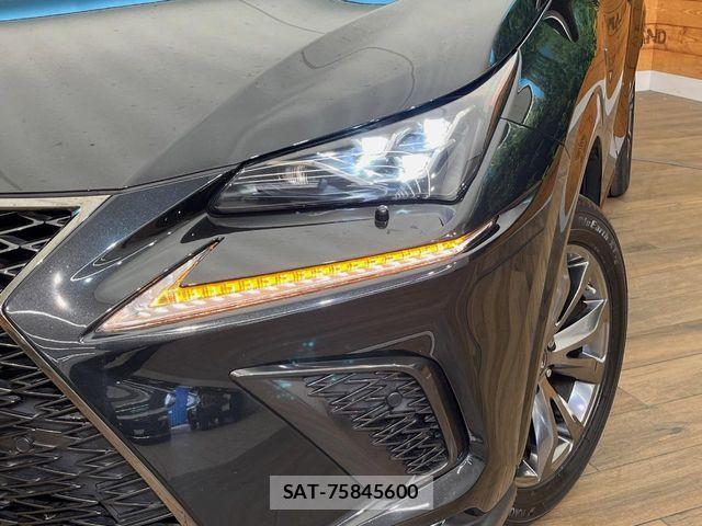 Lexus NX 2018-09 7250171-12