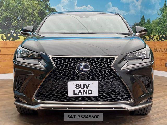 Lexus NX 2018-09 7250171-14