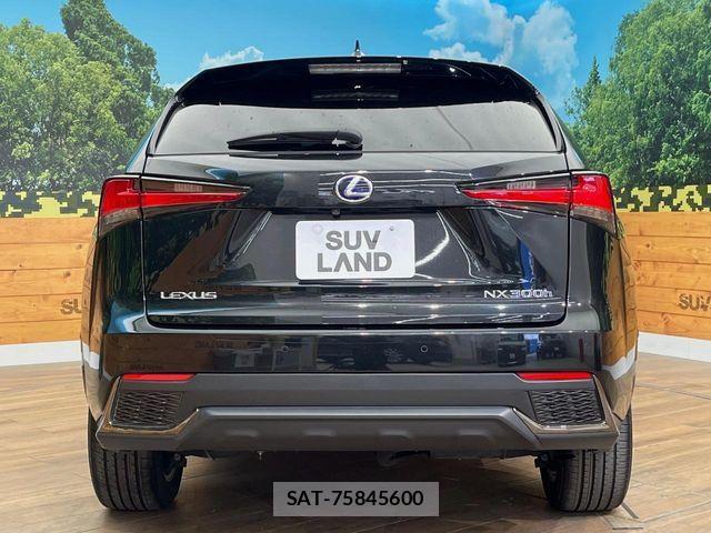 Lexus NX 2018-09 7250171-15