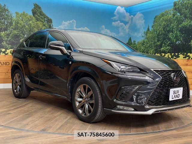Lexus NX 2018-09 7250171-16