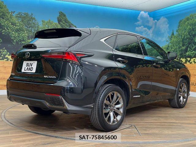 Lexus NX 2018-09 7250171-17