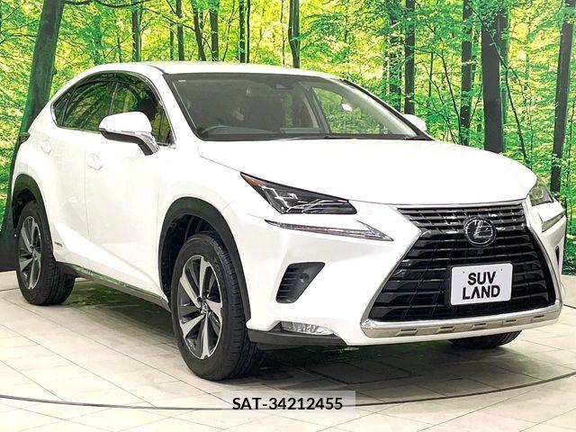 Lexus NX 2018-12 7392689-11