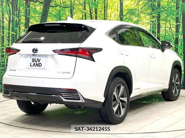 Lexus NX 2018-12 7392689-12