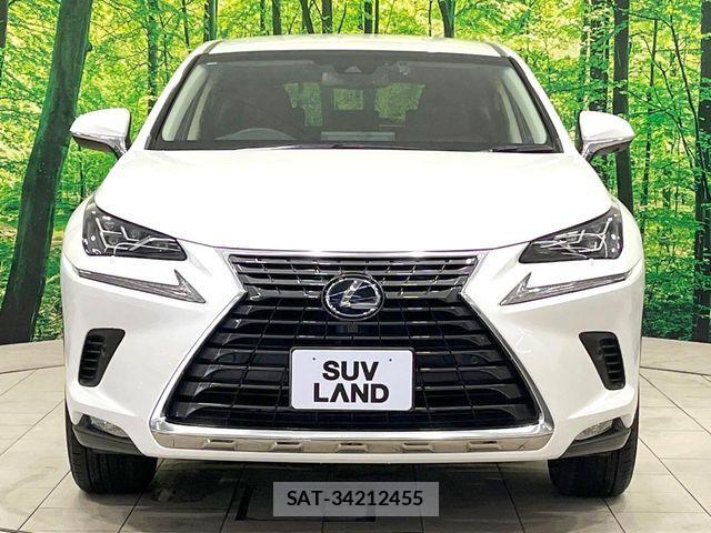 Lexus NX 2018-12 7392689-13