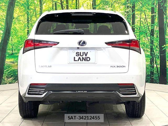 Lexus NX 2018-12 7392689-14