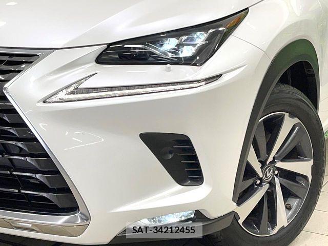 Lexus NX 2018-12 7392689-15