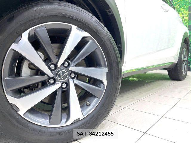 Lexus NX 2018-12 7392689-16