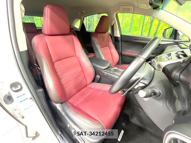 Lexus NX 2018-12 7392689-7