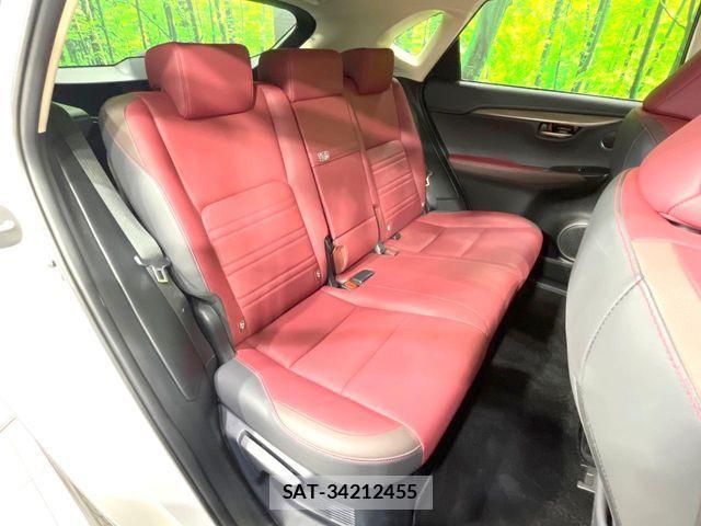 Lexus NX 2018-12 7392689-8