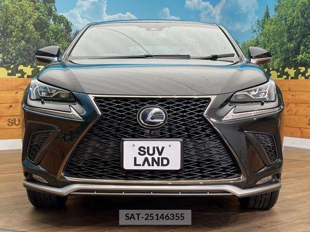 Lexus NX 2018-01 7455430-14
