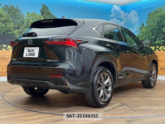 Lexus NX 2018-01 7455430-17