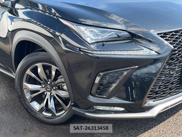 Lexus NX 2020-01 7562363-11