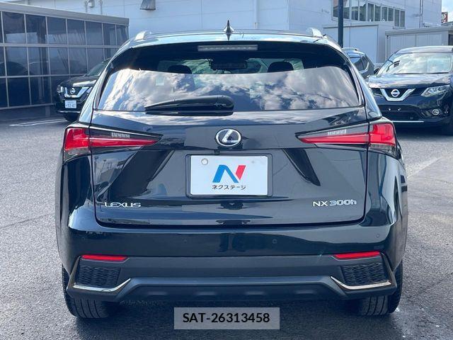 Lexus NX 2020-01 7562363-14