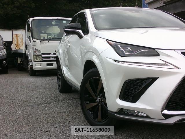 Lexus NX 2020-12 7786564-4