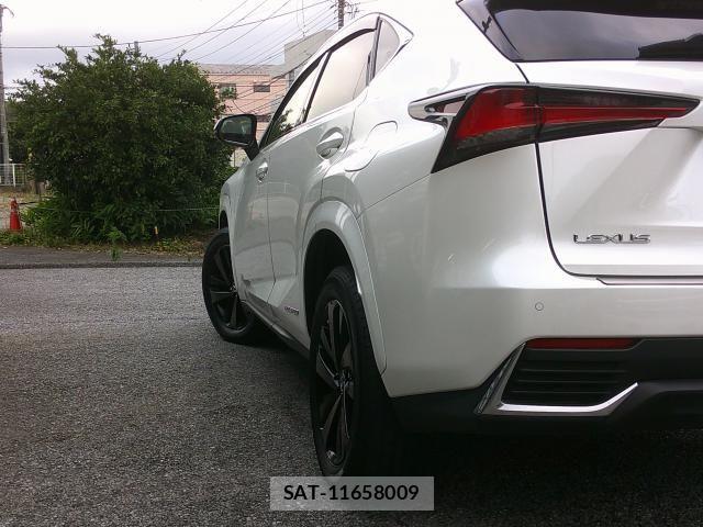 Lexus NX 2020-12 7786564-5