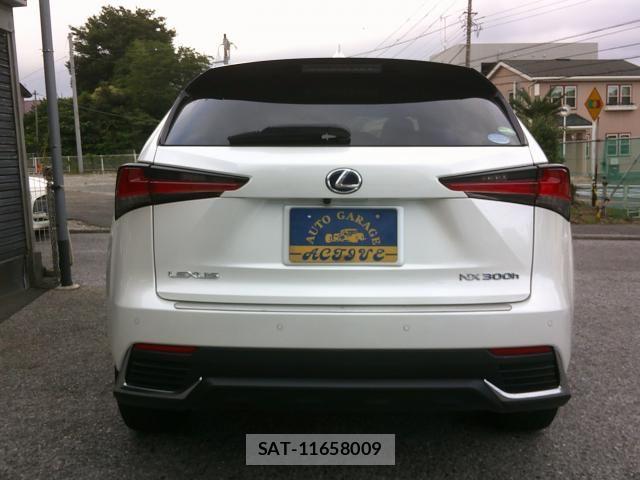 Lexus NX 2020-12 7786564-7