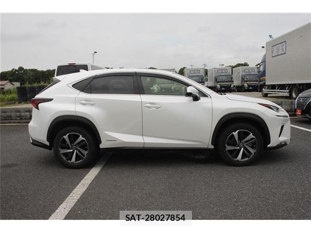 Lexus NX 2018-05 7786562-10