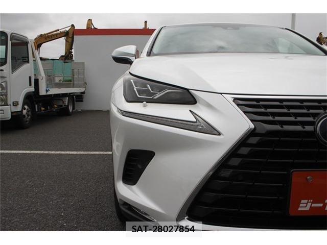Lexus NX 2018-05 7786562-12