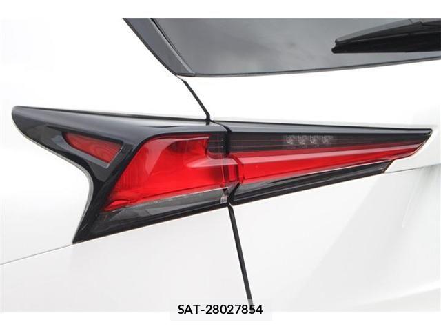 Lexus NX 2018-05 7786562-13
