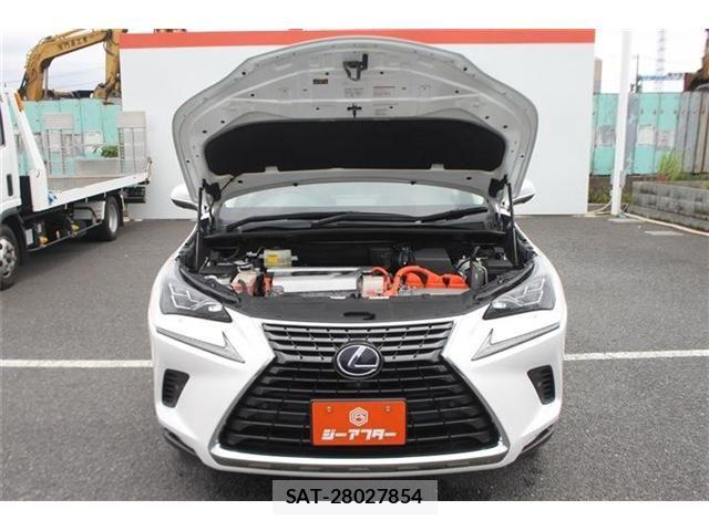 Lexus NX 2018-05 7786562-29