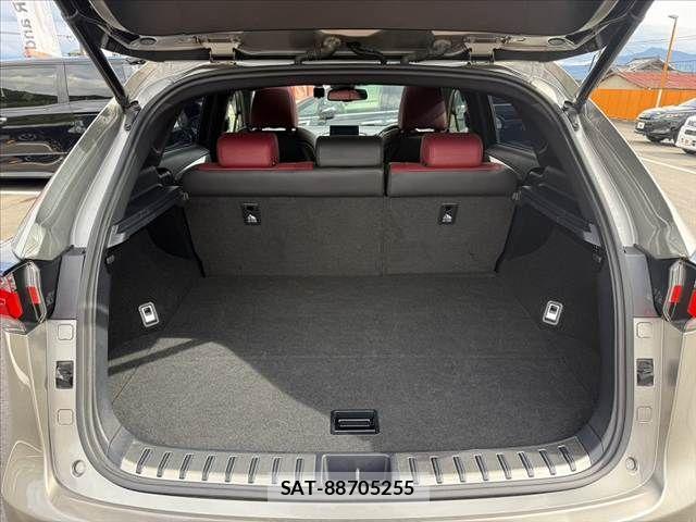 Lexus NX 2015-12 7877409-19